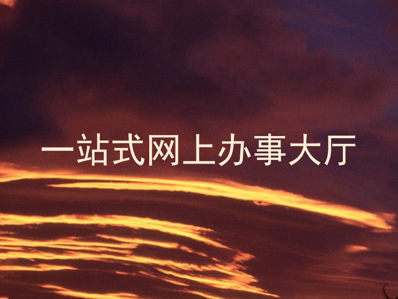 一站式网上办事大厅