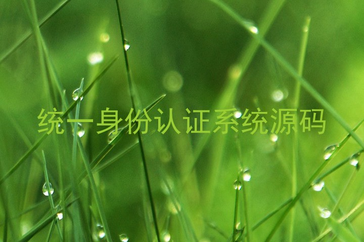 统一身份认证系统源码