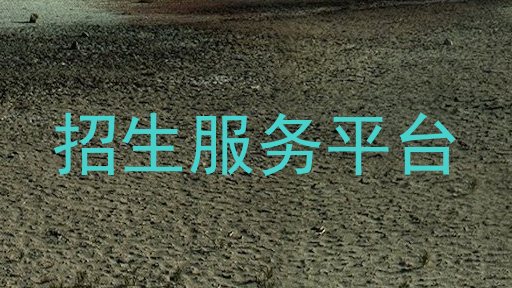 招生服务平台