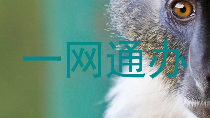 一网通办