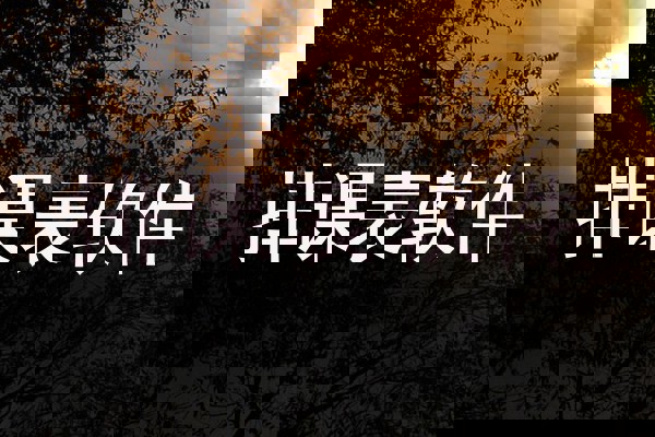 排课表软件