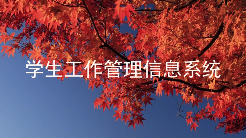 学生工作管理信息系统