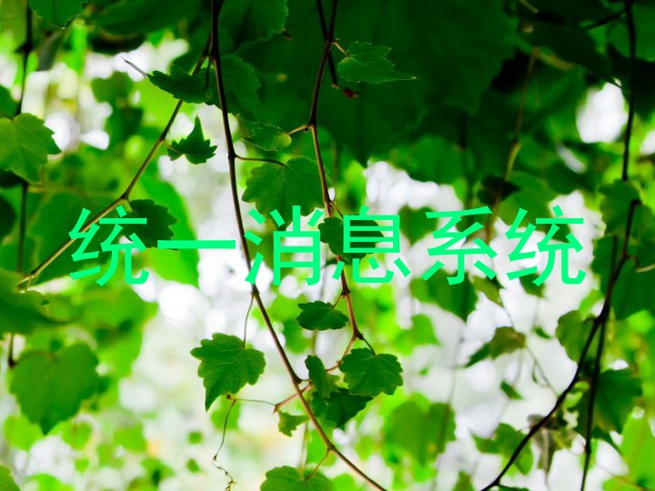 統(tǒng)一消息系統(tǒng)