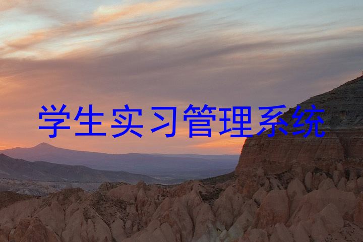 学生实习管理系统