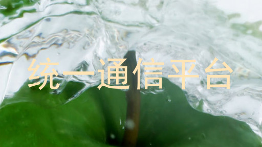 統(tǒng)一通信平臺