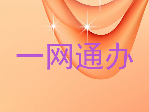 一网通办