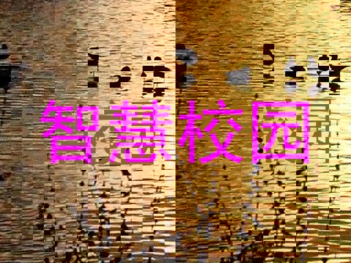智慧校园