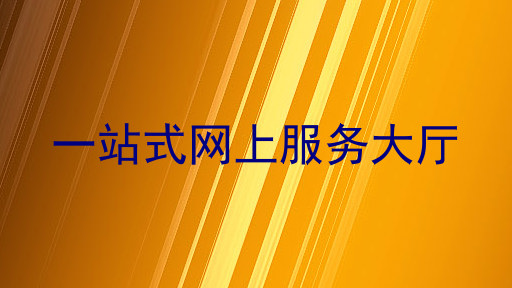 一站式网上服务大厅