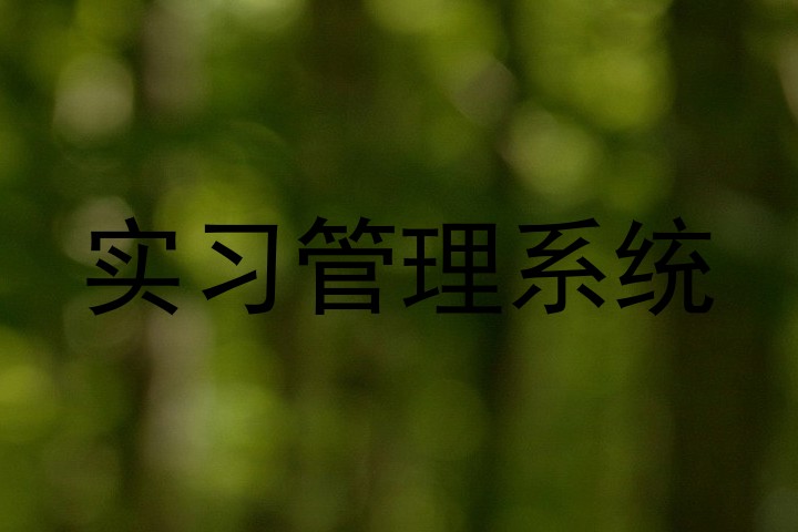 实习管理系统