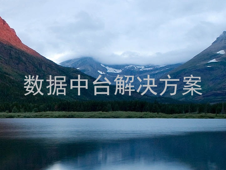 数据中台解决方案