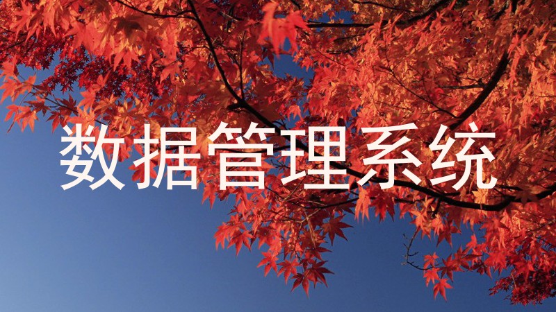 数据管理系统