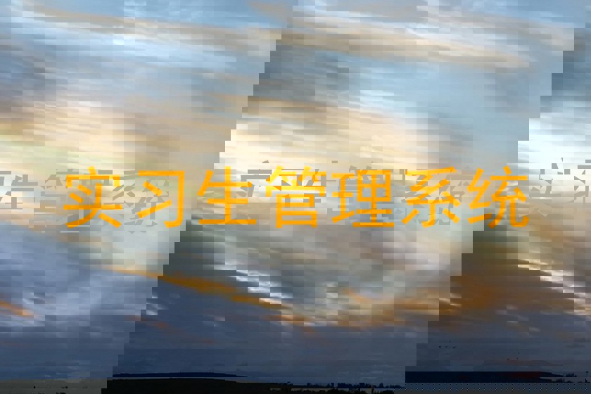 实习生管理系统