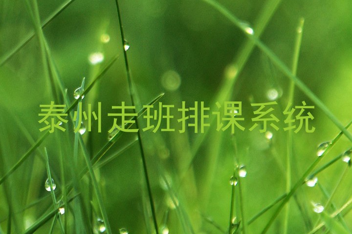 泰州走班排课系统