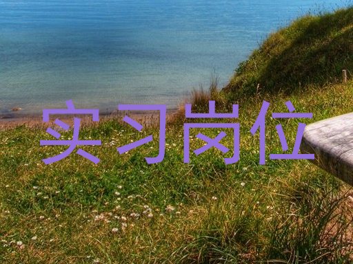 实习岗位