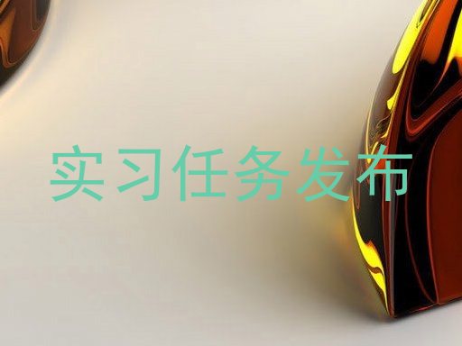 实习任务发布