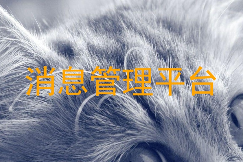 消息管理平臺