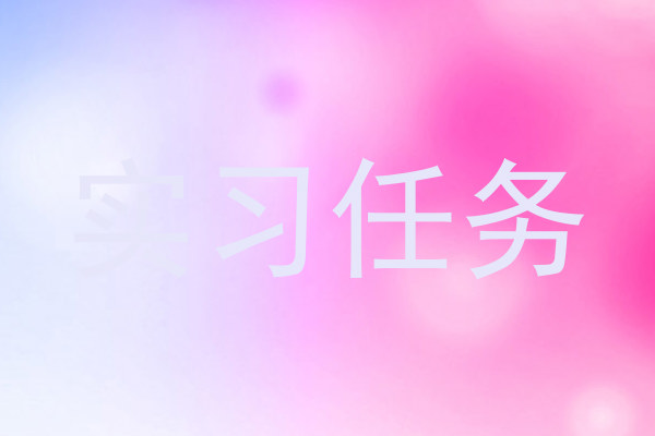 实习任务