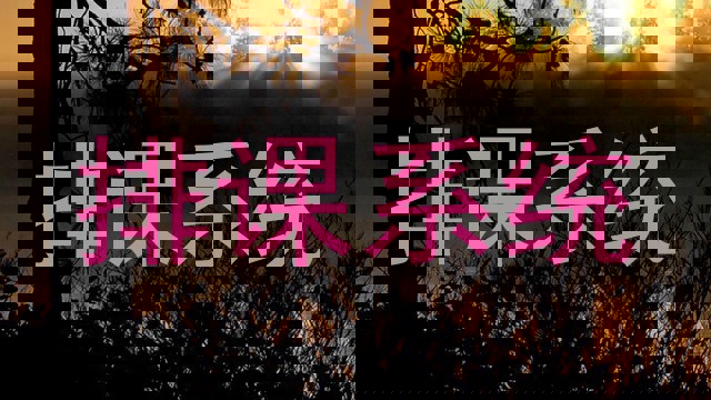 排课系统