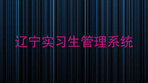 辽宁实习生管理系统