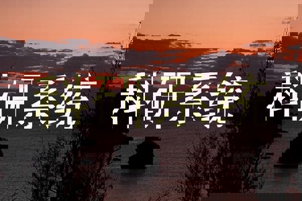 科研系统