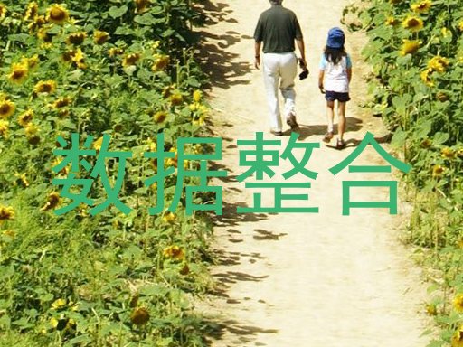 数据整合