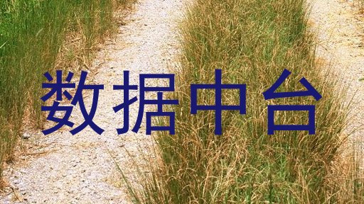 数据中台