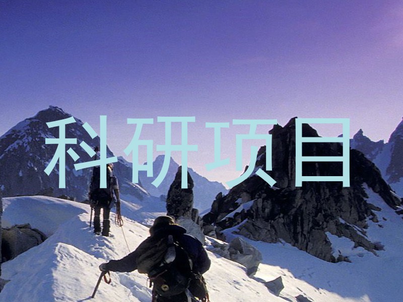 科研项目