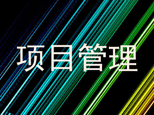 项目管理