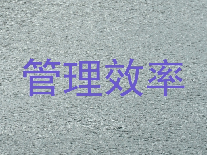管理效率