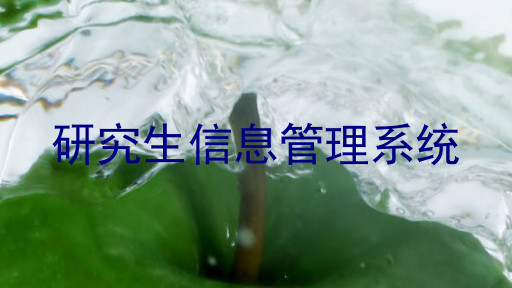 研究生信息管理系统