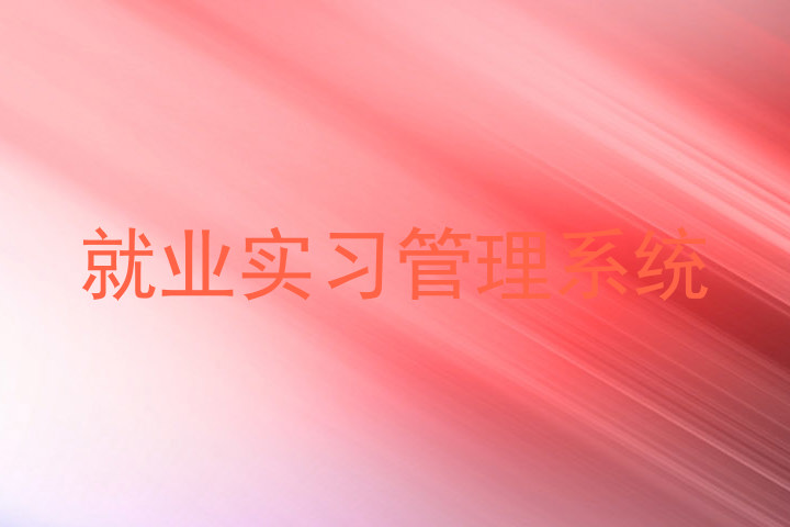 就业实习管理系统