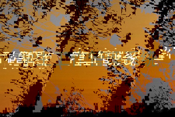 学生工作管理系统