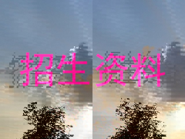 招生资料