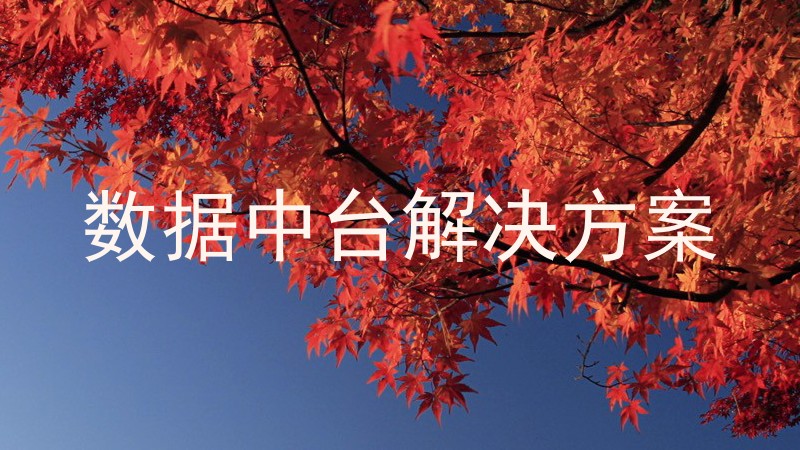 数据中台解决方案