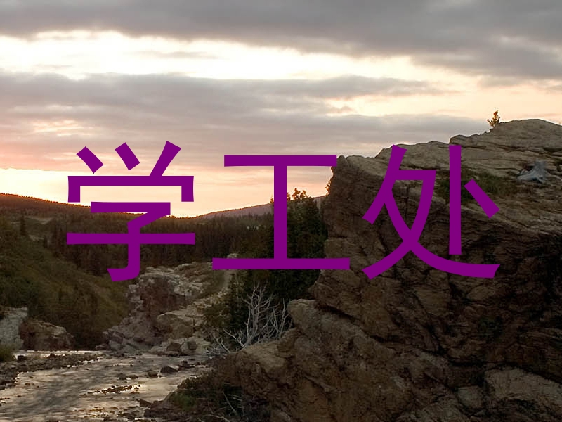 学工处