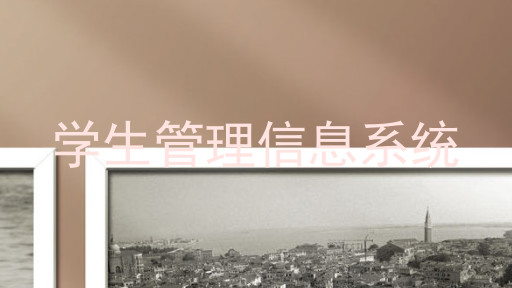 学生管理信息系统