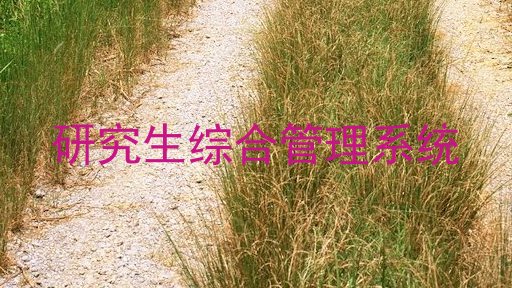 研究生综合管理系统