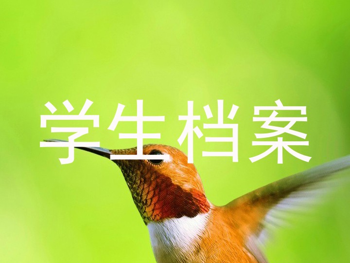 学生档案