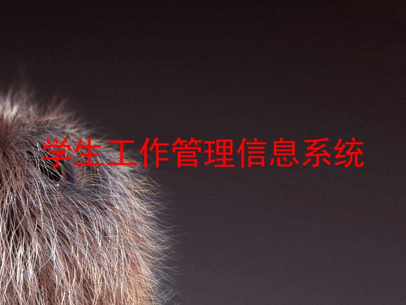 学生工作管理信息系统