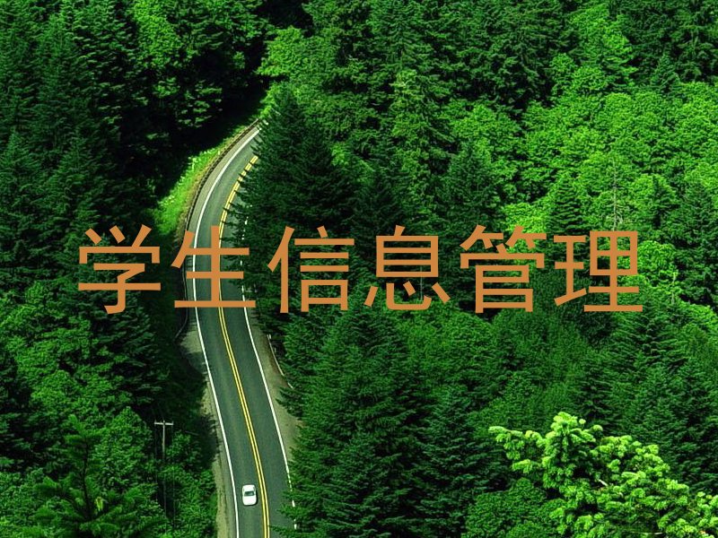 学生信息管理