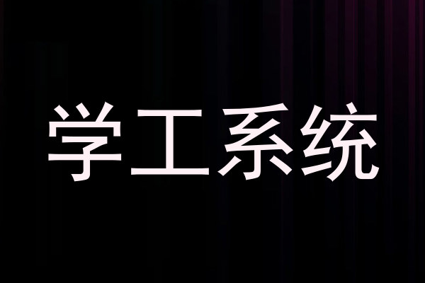 学工系统