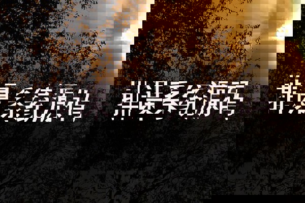 排课系统源码