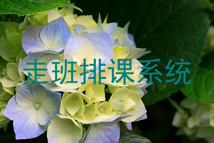 走班排课系统