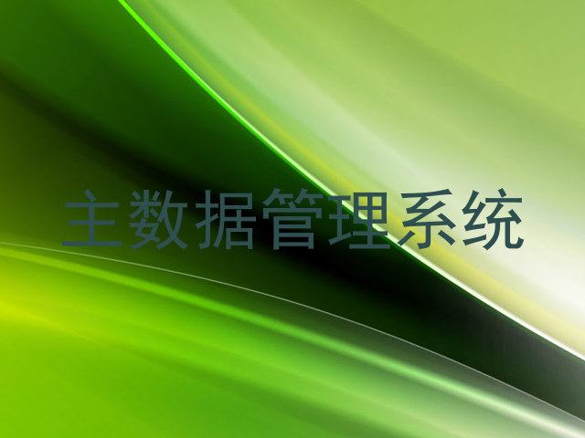 主数据管理系统