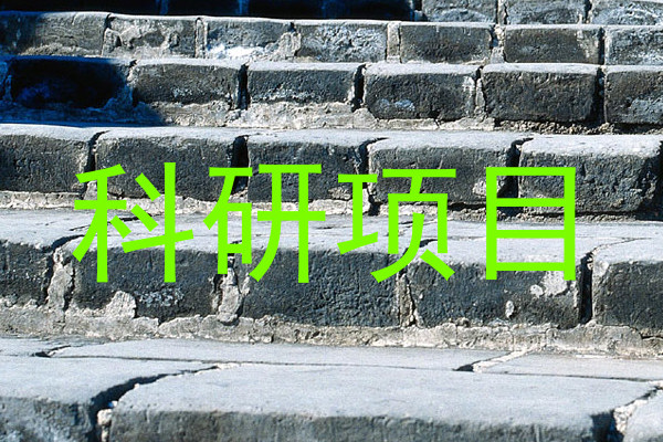 科研项目