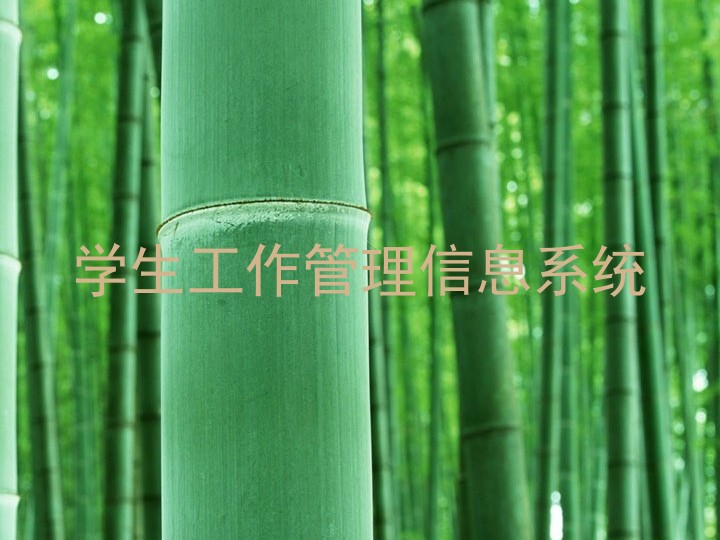 学生工作管理信息系统