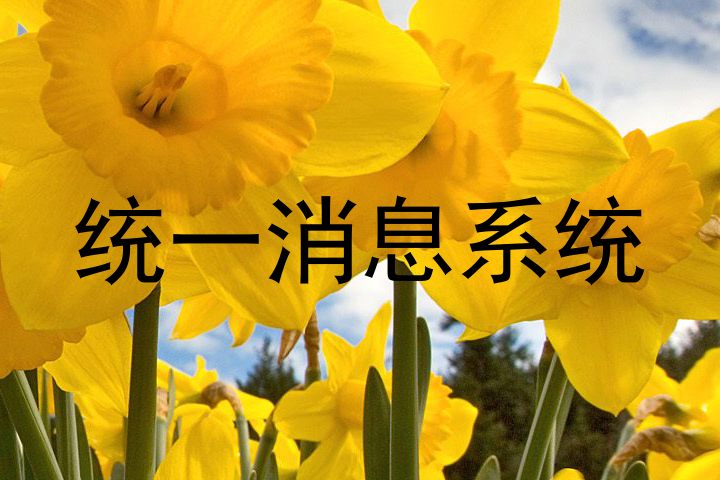統(tǒng)一消息系統(tǒng)