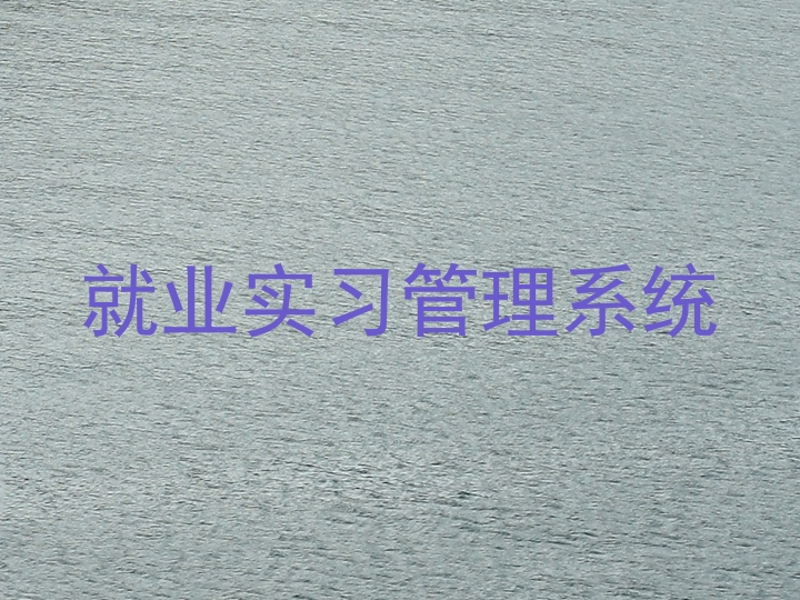 就业实习管理系统