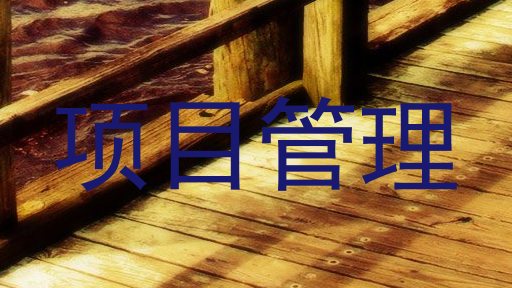 项目管理