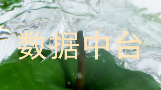 数据中台